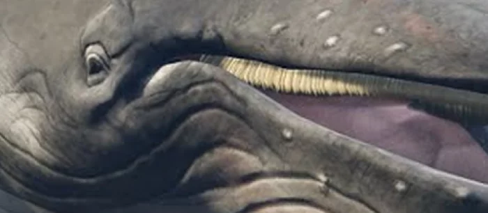 В GTA 5 добавили падающих с неба китов с помощью мода