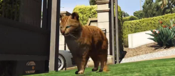 В GTA 5 теперь можно сыграть за кота-убийцу благодаря моду