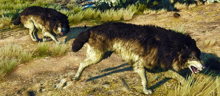 AMD обвинила Nvidia в саботаже оптимизации Witcher 3: Wild Hunt