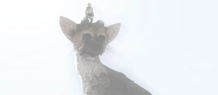 Независимая студия GenDesign подключилась к разработке The Last Guardian