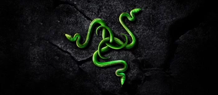 Razer задумалась о приобретении Ouya
