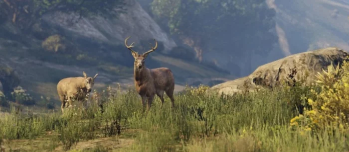 Дикий мир GTA 5 был показан в отличной документальной короткометражке