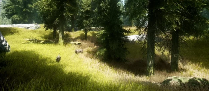Взгляните на жизнь в стиле Skyrim