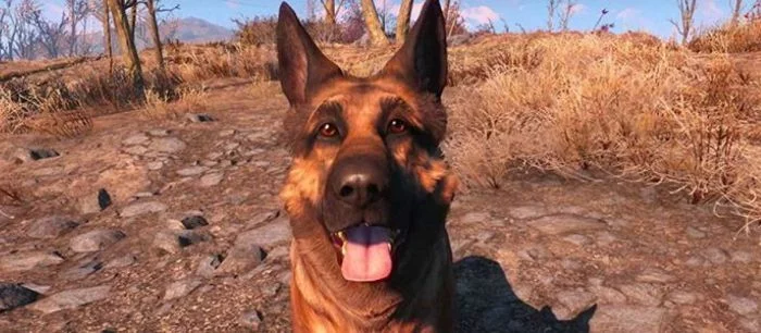 Объявлены системные требования Fallout 4