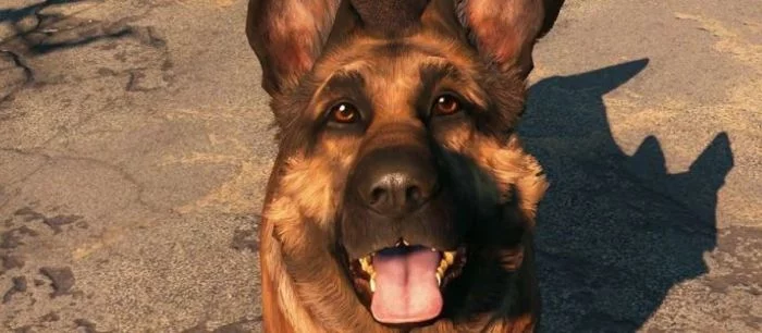 Косплей псины из Fallout 4 не заставил себя долго ждать