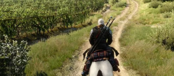 Создатели Witcher 3: Wild Hunt напомнили нам основы выживания в открытом мире игры