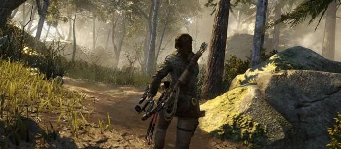Стало известно, когда Rise of the Tomb Raider выйдет на PC