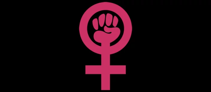 У Американа МакГи пропала сестра, он опасается, что её похитили поклонники Аниты Саркисян