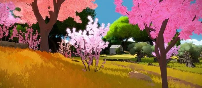 The Witness обогнала Braid по продажам