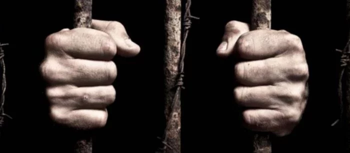 В Prison Architect нашли скрытый трехмерный режим