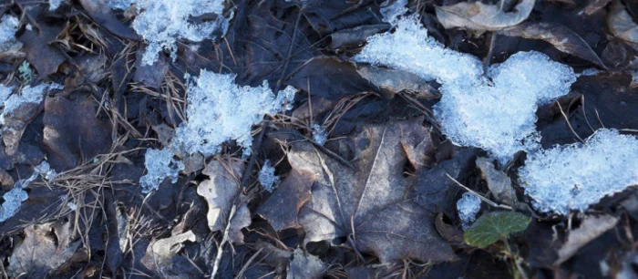 VGNews одной строкой: фотореалистичное демо на Unreal Engine 4, новый трейлер Total War: Warhammer и многое другое