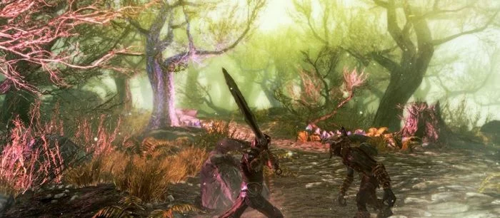 Масштабный мод Enderal для Skyrim выйдет в июле