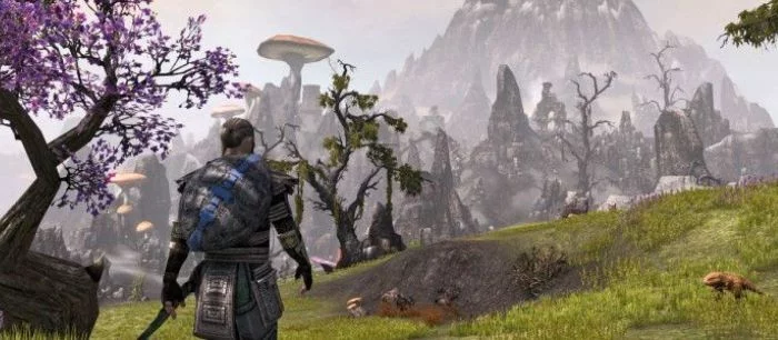 В Elder Scrolls Online можно будет строить дома и ходить в парикмахерскую