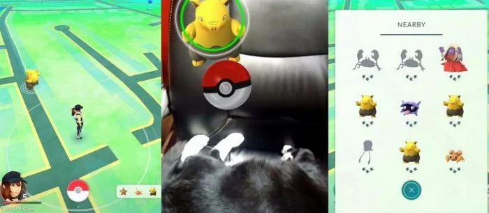 Два морпеха поймали преступника, пока играли в Pokemon Go