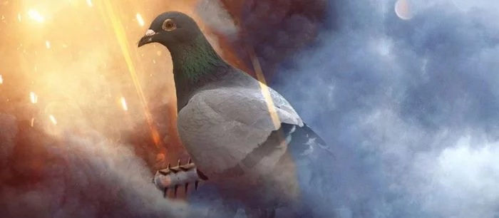 В Battlefield 1 можно будет поиграть за голубя