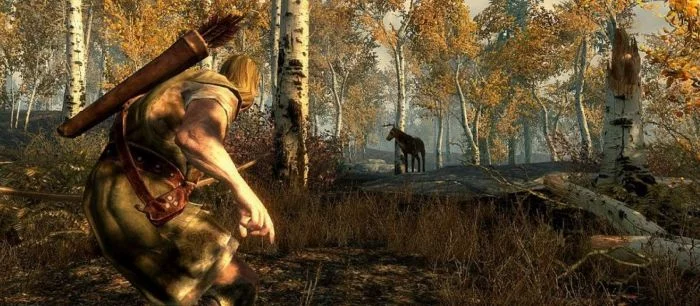 FPS в Skyrim Special Edition ниже на PS4 Pro, чем на PS4
