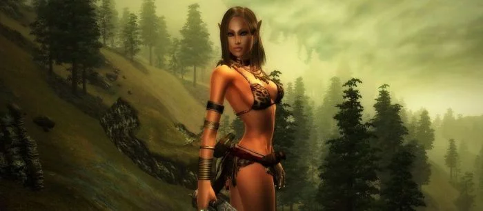 Bethesda отказалась от переиздания других игр из серии Elder Scrolls