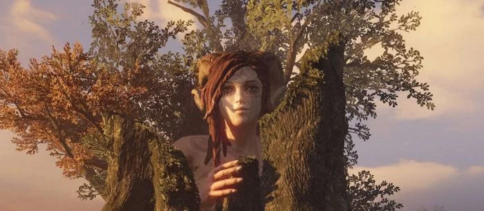 Мишель Ансель напомнил о существовании WiLD