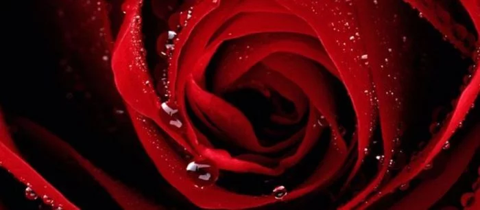 Администрация VGTimes.Ru поздравляет мужчин с 23 февраля!