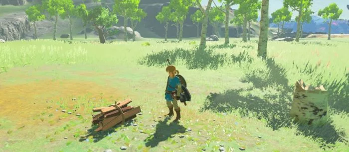 The Legend of Zelda: Breath of the Wild запустили на эмуляторе Wii U версии 1.7.4