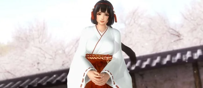 Для Dead or Alive 5: Last Round вышло новое DLC с набором костюмов. Опубликован трейлер