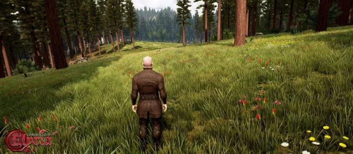 Опубликованы концепт-арты и геймплейное видео Chronicles of Elyria