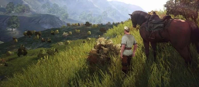 Вышло новое обновление для Black Desert