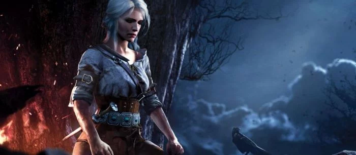 CD Projekt не будет принимать участие в съёмках сериала по «Ведьмаку» от Netflix