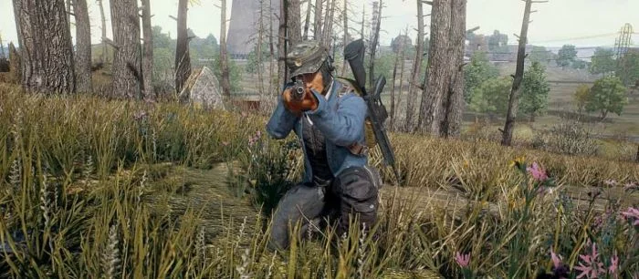 PlayerUnknown's Battlegrounds преодолела отметку в 2 миллиона проданных копий