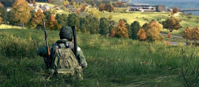 В крупном обновлении 0.62 для DayZ в игру добавят новые деревья, густые леса и динамическую погоду
