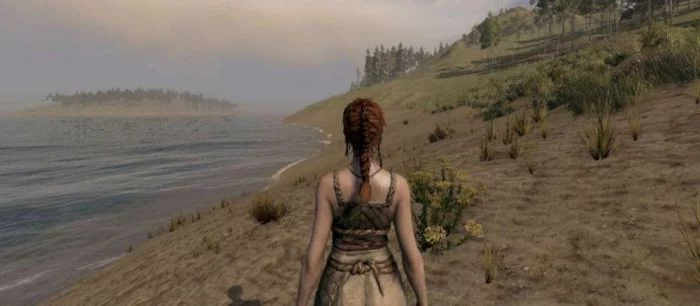 В сети появился новый трейлер Life is Feudal: MMO