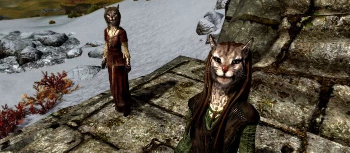 В Skyrim: Special Edition можно будет бесплатно поиграть в Steam и на Xbox One