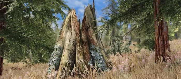 Новый ETD мод для Skyrim добавит в игру фотореалистичную 4К растительность