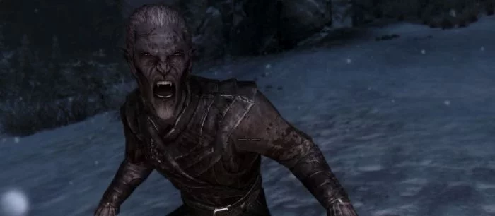 Как стать вампиром-некромантом в Skyrim и получить неуязвимость к яду