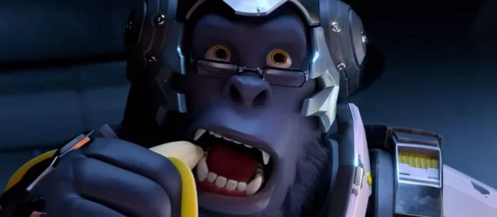 В новой игре Blizzard может появиться управляемый транспорт и вид от первого лица