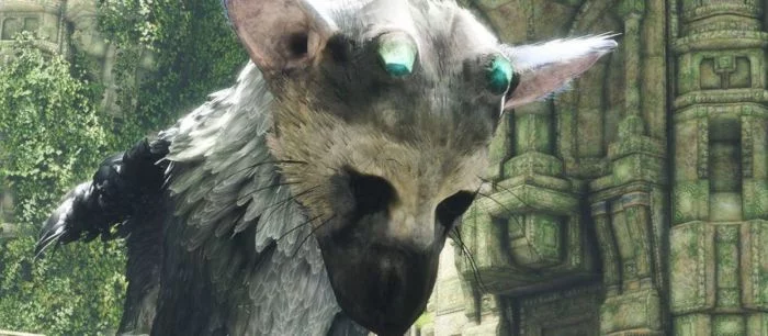 В PS Store вышла демка VR-версии The Last Guardian. Опубликовано 10 минут геймплея