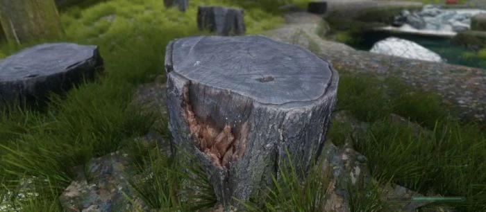 В Skyrim добавили сверхреалистичные модели и текстуры, созданные при помощи фотограмметрии