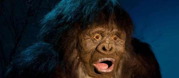 Capcom заплатит $ 70 тыс. за доказательства существования йети, лохнесского чудовища, чупокабры или других монстров