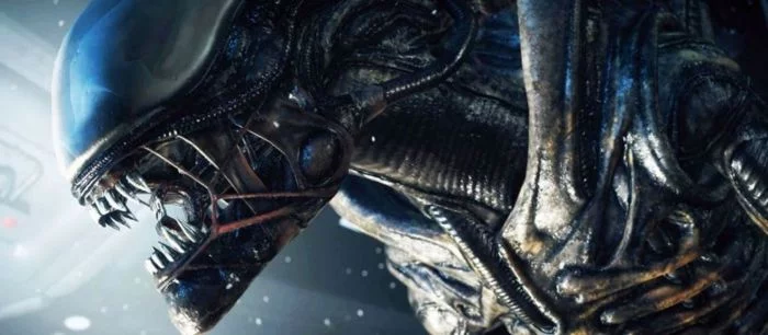 Игровое подразделение Fox разрабатывает шутер про «Чужого»