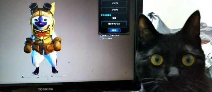 Японцы снимают реакцию своих кошек на мяукание в Monster Hunter World