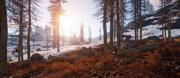 Rust вышла из раннего доступа Steam. Мнения геймеров разделились