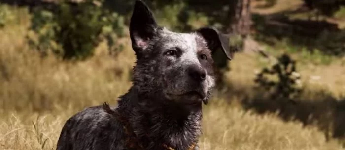 В Far Cry 5 у вас будет свой Бумер