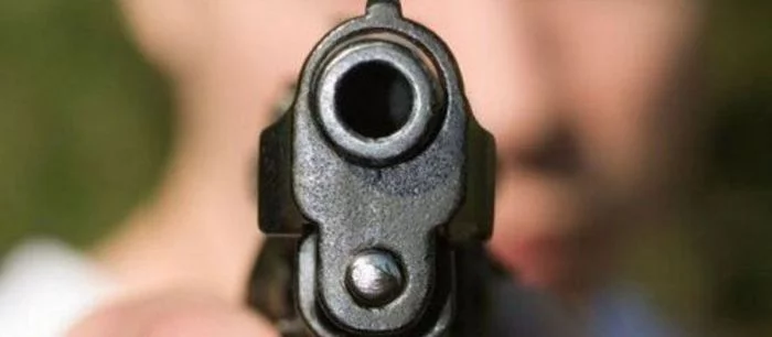 Девятилетний мальчик застрелил свою сестру за то, что она не дала ему геймпад