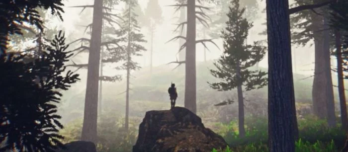 Анонсирована фэнтези-RPG с открытым миром Winterfall (трейлер и скриншоты)