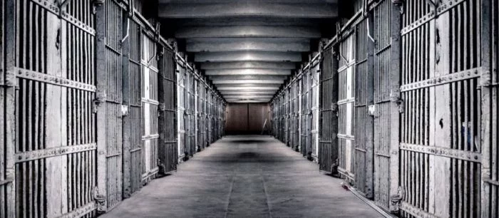 В Steam вышла игра, позволяющая определить свою масть на «зоне» за 21 рубль