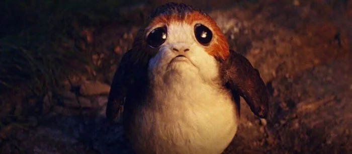 Режиссер восьмого эпизода «Звездных войн» поддержал идею снять правильную версию фильма