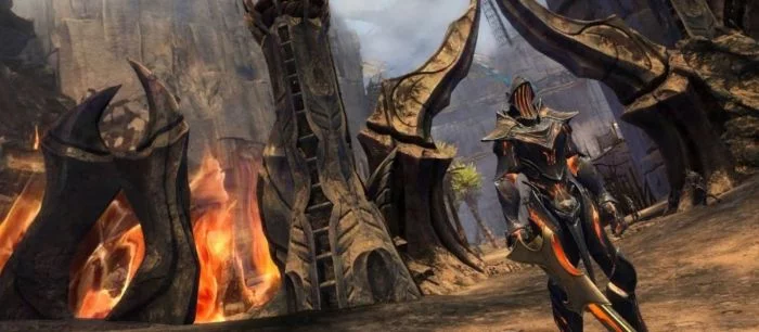 Феминистки призывают удалять Guild Wars 2 после увольнения разработчицы