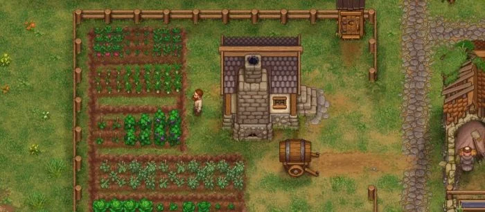 Советы для новичков в Graveyard Keeper