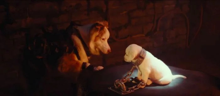 Создатели Shadow of the Tomb Raider выпустили пародию на дебютный трейлер с кошками и собаками