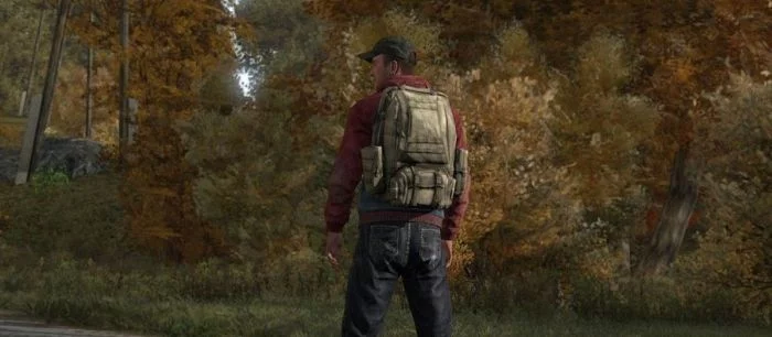 В релизной версии DayZ будет поддержка модов и «королевская битва», но фанатам уже наплевать